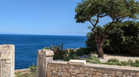 leuca-yoga-panorama