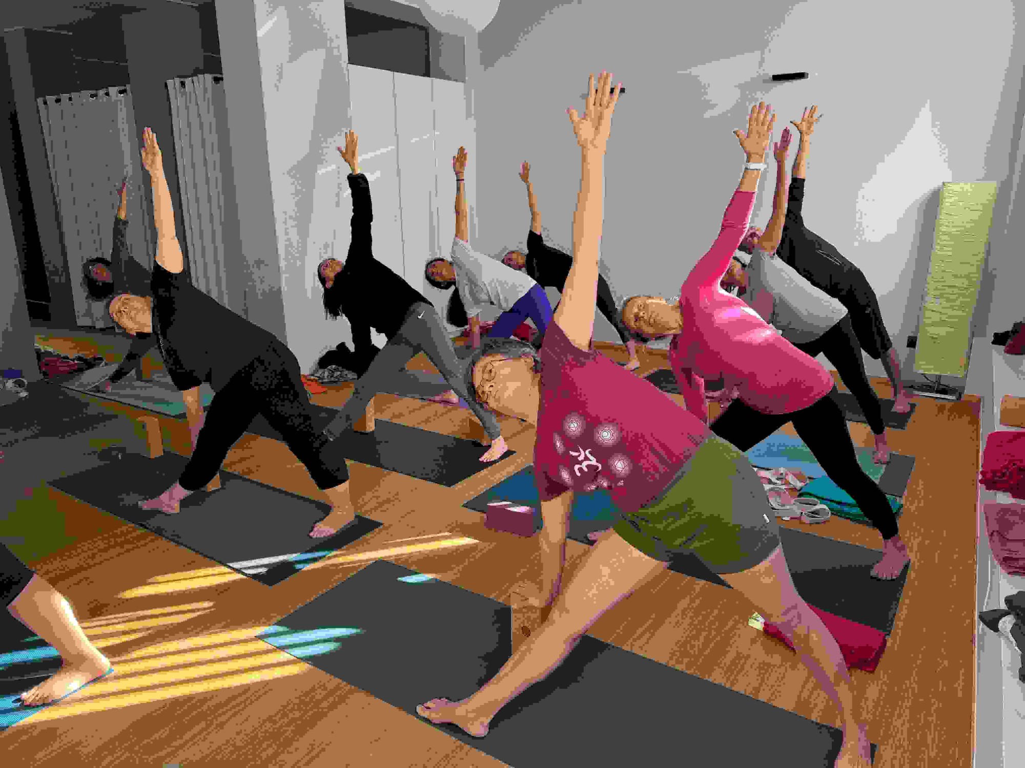 seminario iyengar yoga